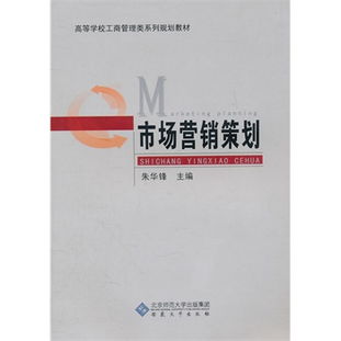 市場營銷策劃 戰(zhàn)略、執(zhí)行與優(yōu)化